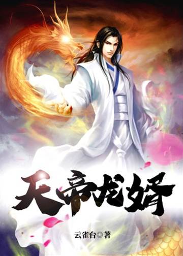 天帝龍婿