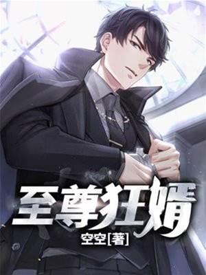 至尊狂婿