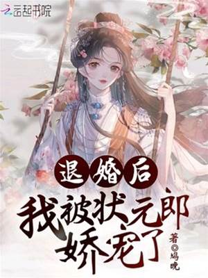 退婚后状元宠我