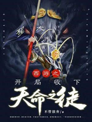 西游之開局收下天命之徒