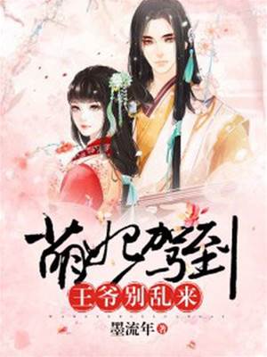 萌妃在上王爷莫闹