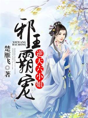 邪王霸爱六小姐