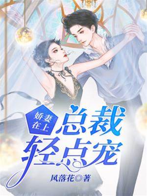 總裁寵妻太上頭