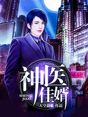 神醫佳婿