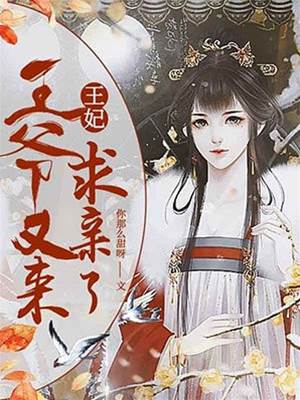 王妃又被求親