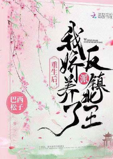 重生娇宠镇北王