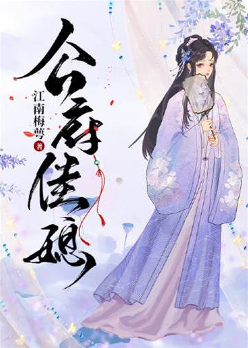 国公府良媳