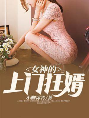 無敵佳婿