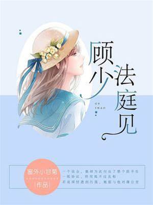 顾少法庭相见