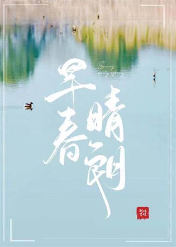 晴光不回头