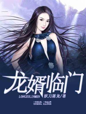 龍婿臨門