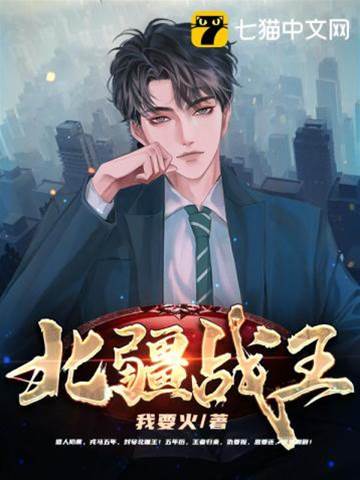 北疆戰王