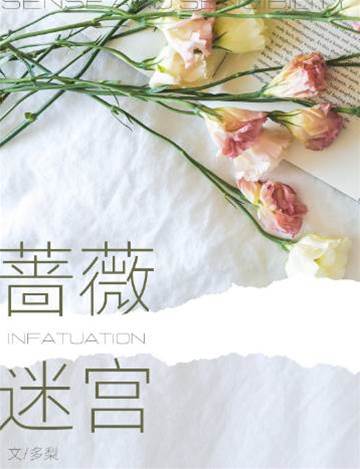 薔薇迷宮[男A女o]