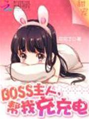 BOSS求充电