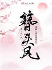 鳳簪重華