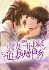 虐愛成殤追妻難