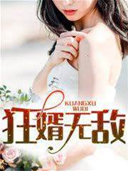 狂婿無敵