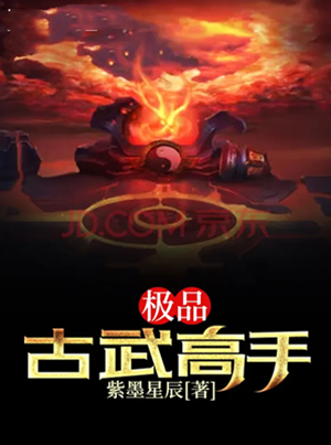 極品古武高手