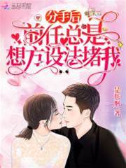 分手後前任纏上我